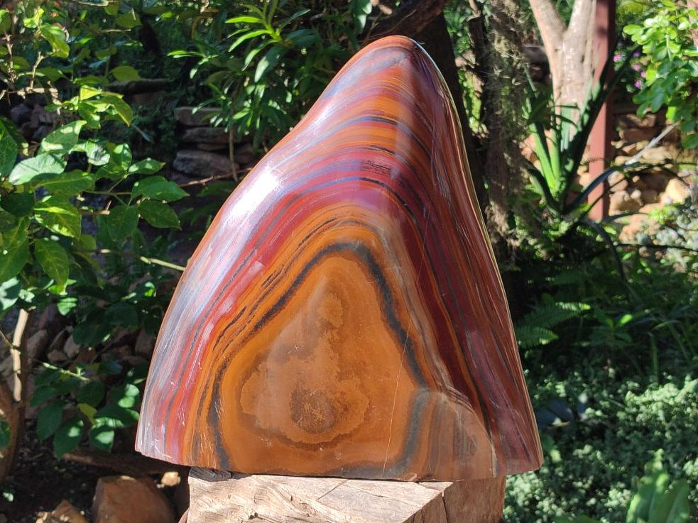 Polished XXL Banded Tiger Iron Standing Display Piece x 1 From South Africa - Toprock Gemstones and Minerals 