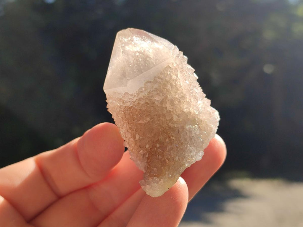Natural Mixed Spirit Quartz Crystals And Clusters x 40 From Boekenhouthoek, South Africa - Toprock Gemstones and Minerals 