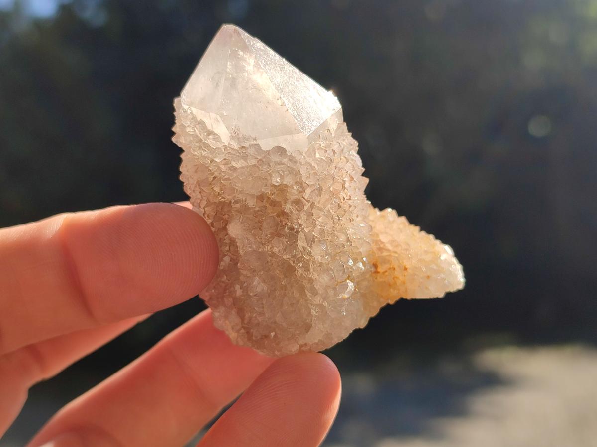 Natural Mixed Spirit Quartz Crystals And Clusters x 40 From Boekenhouthoek, South Africa - Toprock Gemstones and Minerals 