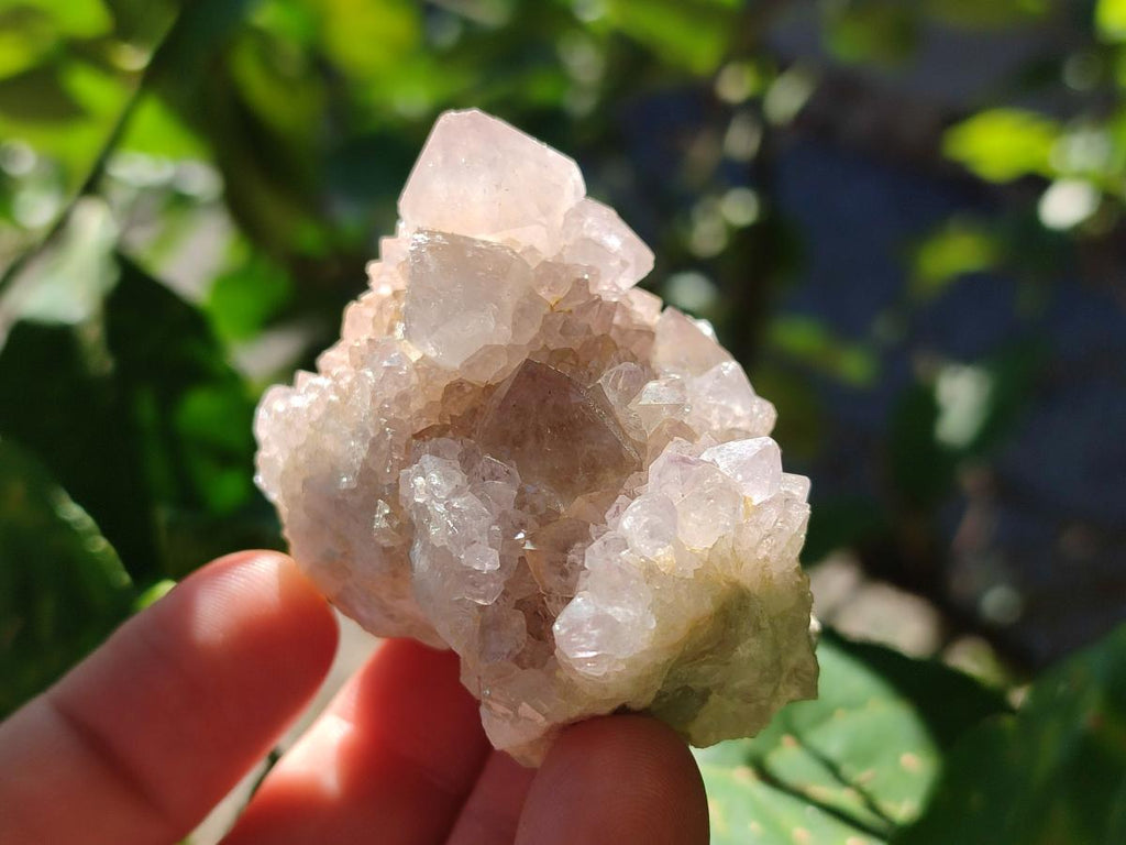 Natural Mixed Spirit Quartz Crystals And Clusters x 40 From Boekenhouthoek, South Africa - Toprock Gemstones and Minerals 