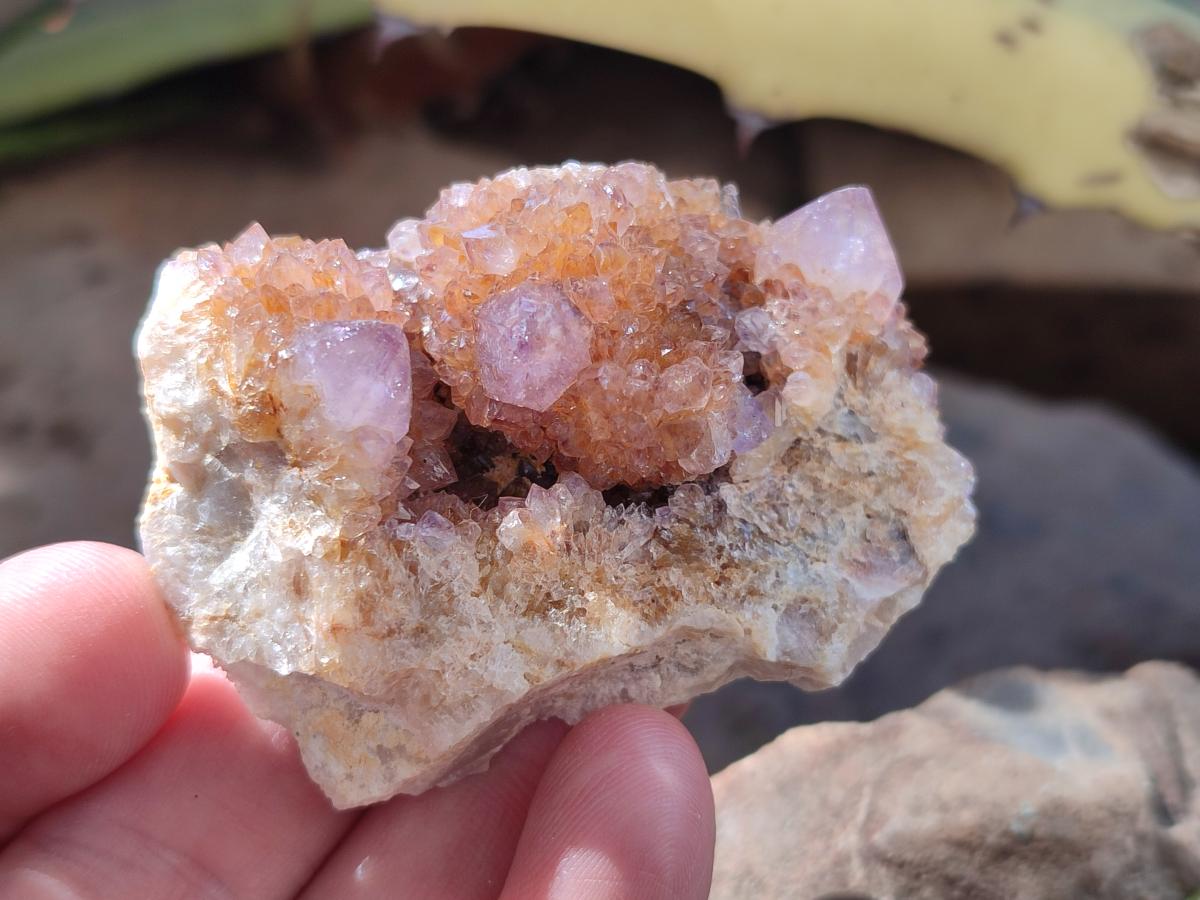 Natural Mixed Spirit Quartz Crystals And Clusters x 40 From Boekenhouthoek, South Africa - Toprock Gemstones and Minerals 