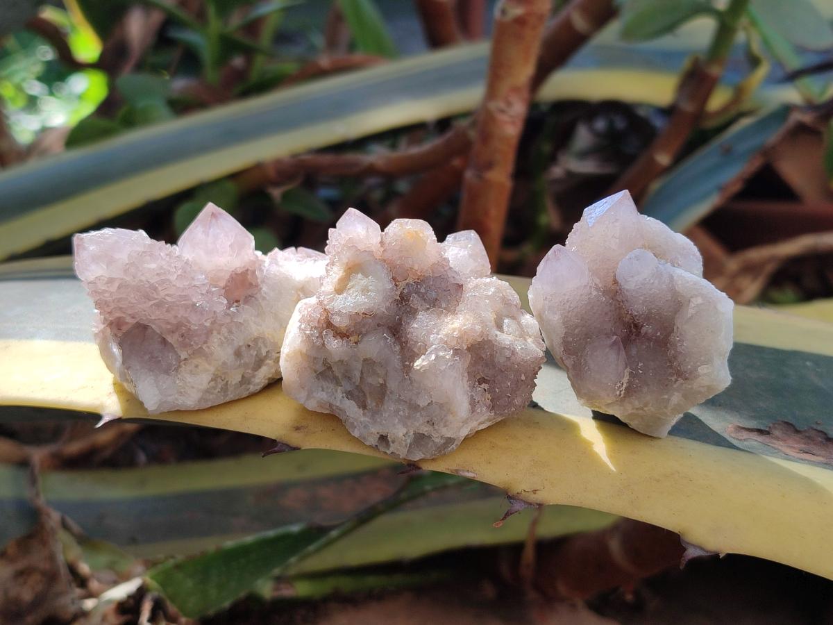 Natural Mixed Spirit Quartz Crystals And Clusters x 40 From Boekenhouthoek, South Africa - Toprock Gemstones and Minerals 