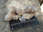 Natural Mixed Spirit Quartz Crystals And Clusters x 40 From Boekenhouthoek, South Africa - Toprock Gemstones and Minerals 