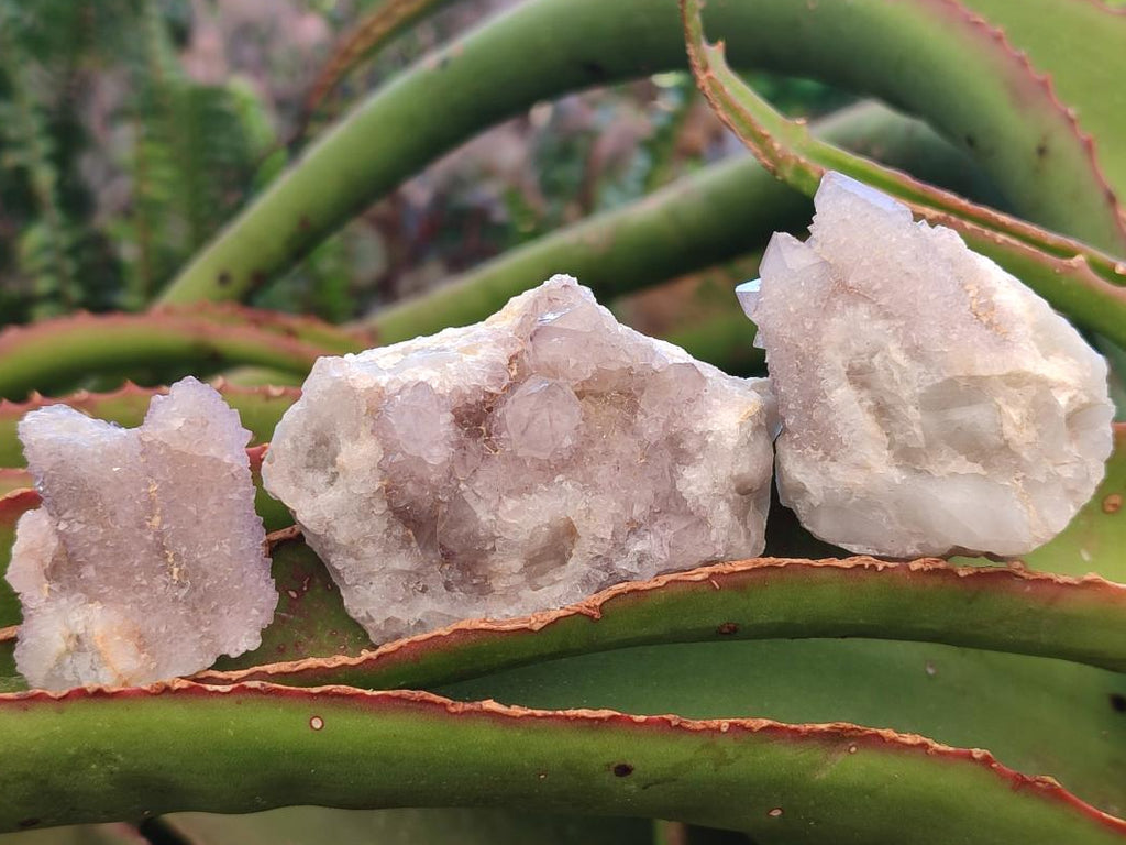 Natural Mixed Spirit Quartz Crystals And Clusters x 40 From Boekenhouthoek, South Africa - Toprock Gemstones and Minerals 