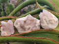 Natural Mixed Spirit Quartz Crystals And Clusters x 40 From Boekenhouthoek, South Africa - Toprock Gemstones and Minerals 