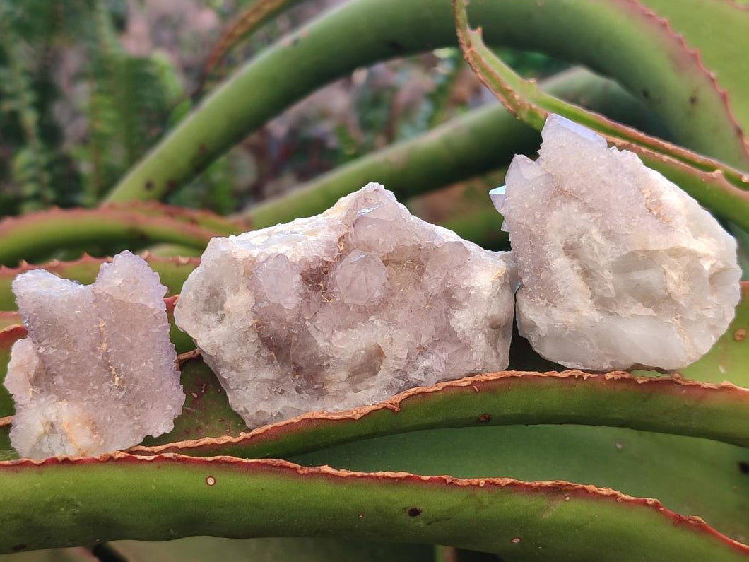 Natural Mixed Spirit Quartz Crystals And Clusters x 40 From Boekenhouthoek, South Africa - Toprock Gemstones and Minerals 