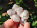Natural Mixed Spirit Quartz Crystals And Clusters x 40 From Boekenhouthoek, South Africa - Toprock Gemstones and Minerals 