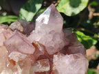 Natural Sunburst Amethyst Spirit Clusters x 2 From Boekenhouthoek, South Africa - Toprock Gemstones and Minerals 