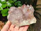 Natural Sunburst Amethyst Spirit Clusters x 2 From Boekenhouthoek, South Africa - Toprock Gemstones and Minerals 