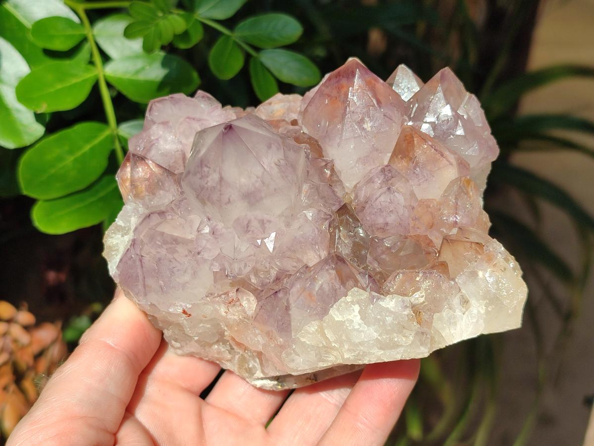 Natural Sunburst Amethyst Spirit Clusters x 2 From Boekenhouthoek, South Africa - Toprock Gemstones and Minerals 