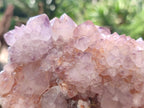 Natural Sunburst Amethyst Spirit Clusters x 2 From Boekenhouthoek, South Africa - Toprock Gemstones and Minerals 