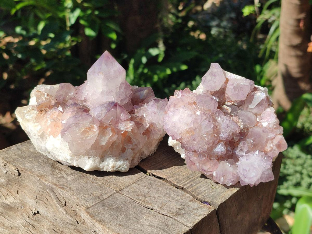 Natural Sunburst Amethyst Spirit Clusters x 2 From Boekenhouthoek, South Africa - Toprock Gemstones and Minerals 