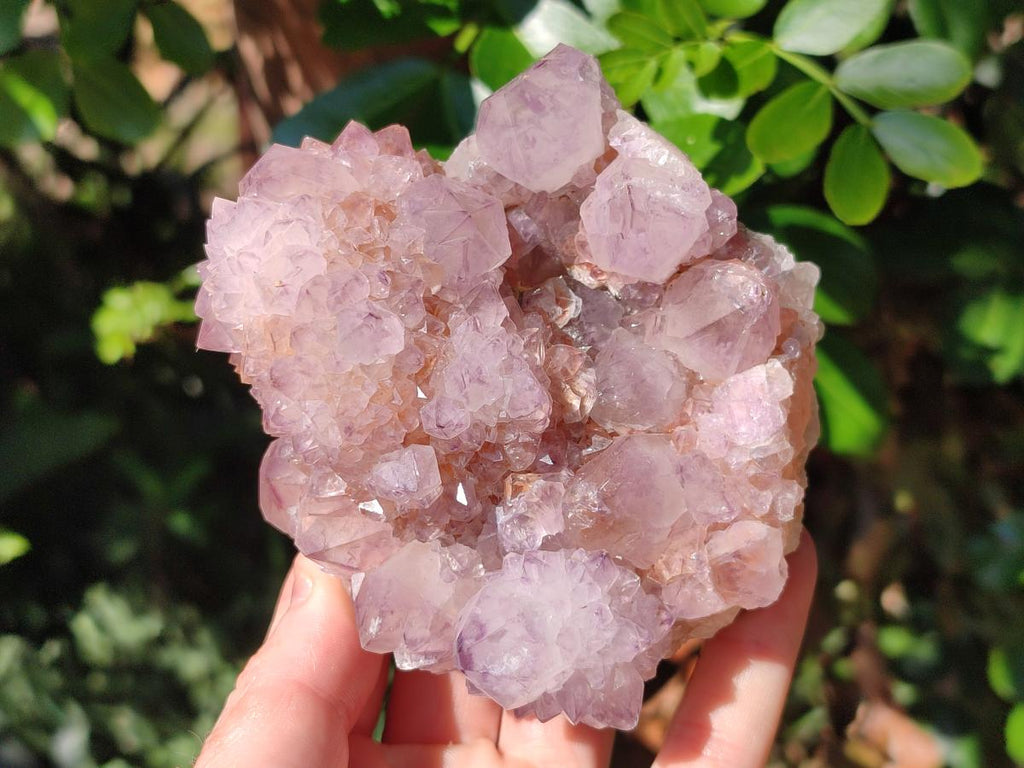 Natural Sunburst Amethyst Spirit Clusters x 2 From Boekenhouthoek, South Africa - Toprock Gemstones and Minerals 