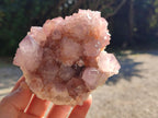 Natural Sunburst Amethyst Spirit Clusters x 2 From Boekenhouthoek, South Africa - Toprock Gemstones and Minerals 