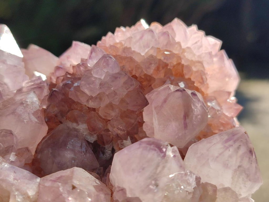 Natural Sunburst Amethyst Spirit Clusters x 2 From Boekenhouthoek, South Africa - Toprock Gemstones and Minerals 