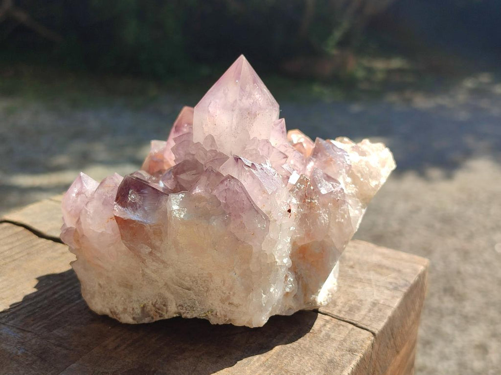 Natural Sunburst Amethyst Spirit Clusters x 2 From Boekenhouthoek, South Africa - Toprock Gemstones and Minerals 