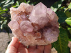 Natural Sunburst Amethyst Spirit Clusters x 2 From Boekenhouthoek, South Africa - Toprock Gemstones and Minerals 