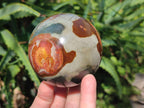 Polished Polychrome Jasper Sphere x 2 From NW Coast, Madagascar - Toprock Gemstones and Minerals 