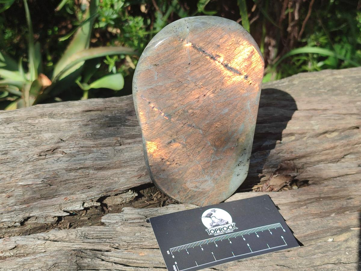 Polished Rare Purple Sunset Flash Labradorite Standing Free Forms x 3 From Madagascar - Toprock Gemstones and Minerals 