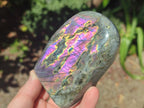 Polished Rare Purple Sunset Flash Labradorite Standing Free Forms x 3 From Madagascar - Toprock Gemstones and Minerals 