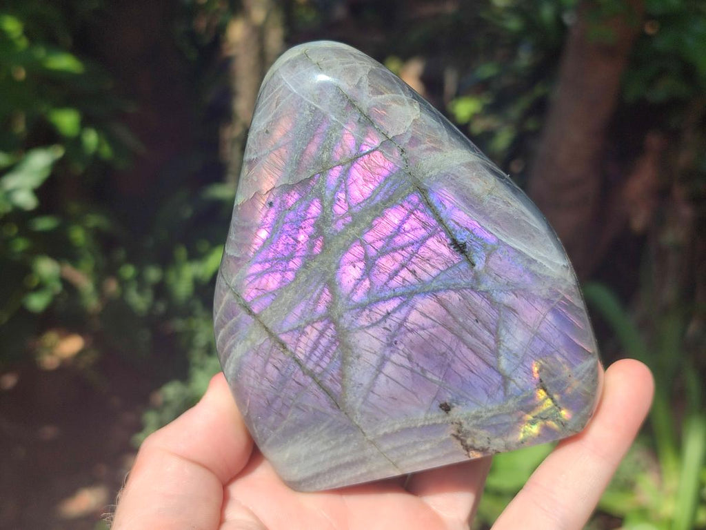 Polished Rare Purple Sunset Flash Labradorite Standing Free Forms x 3 From Madagascar - Toprock Gemstones and Minerals 