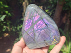Polished Rare Purple Sunset Flash Labradorite Standing Free Forms x 3 From Madagascar - Toprock Gemstones and Minerals 