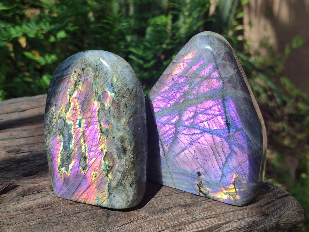 Polished Rare Purple Sunset Flash Labradorite Standing Free Forms x 3 From Madagascar - Toprock Gemstones and Minerals 