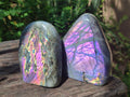 Polished Rare Purple Sunset Flash Labradorite Standing Free Forms x 3 From Madagascar - Toprock Gemstones and Minerals 