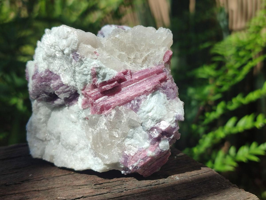 Natural Pink Rubellite Tourmaline Specimens x 6 From Karibib, Namibia - Toprock Gemstones and Minerals 