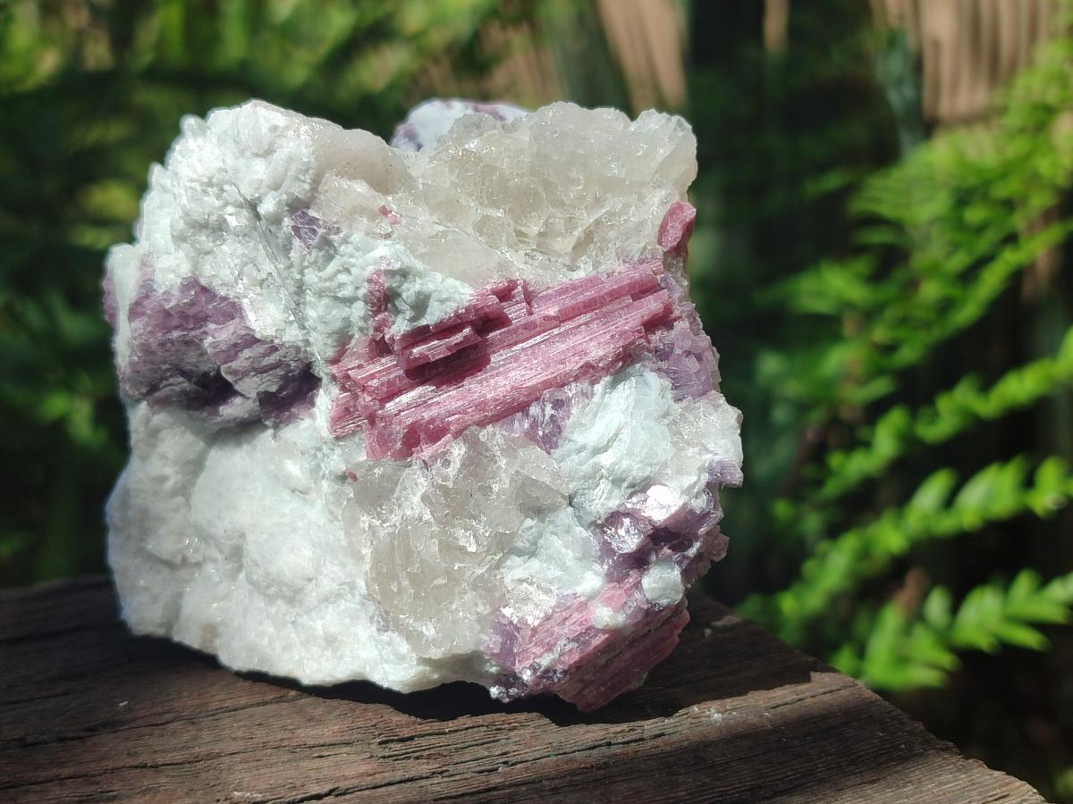 Natural Pink Rubellite Tourmaline Specimens x 6 From Karibib, Namibia - Toprock Gemstones and Minerals 