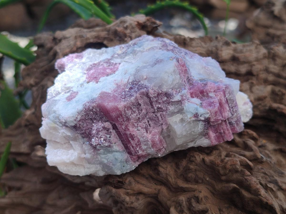 Natural Pink Rubellite Tourmaline Specimens x 6 From Karibib, Namibia - Toprock Gemstones and Minerals 