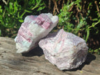 Natural Pink Rubellite Tourmaline Specimens x 6 From Karibib, Namibia - Toprock Gemstones and Minerals 