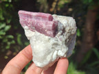 Natural Pink Rubellite Tourmaline Specimens x 6 From Karibib, Namibia - Toprock Gemstones and Minerals 