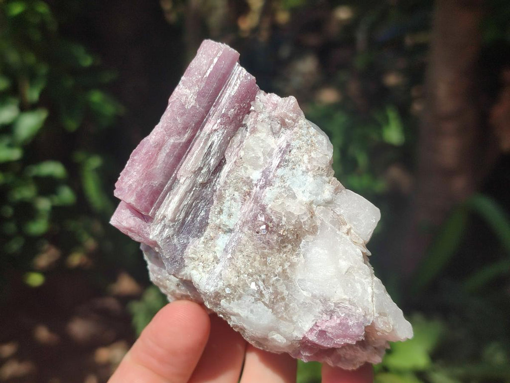 Natural Pink Rubellite Tourmaline Specimens x 6 From Karibib, Namibia - Toprock Gemstones and Minerals 