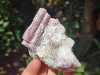 Natural Pink Rubellite Tourmaline Specimens x 6 From Karibib, Namibia - Toprock Gemstones and Minerals 