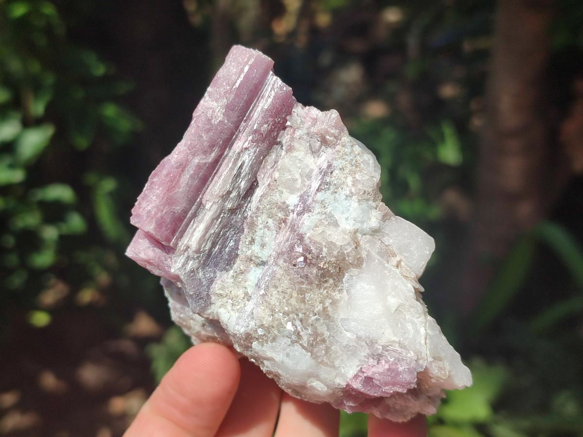 Natural Pink Rubellite Tourmaline Specimens x 6 From Karibib, Namibia - Toprock Gemstones and Minerals 