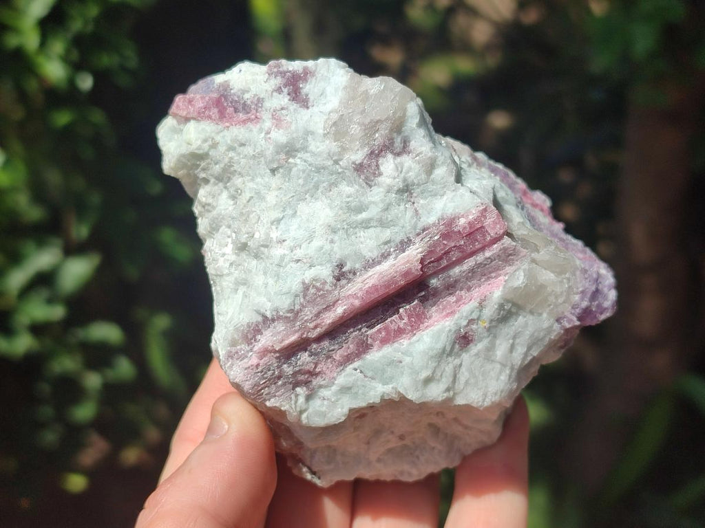 Natural Pink Rubellite Tourmaline Specimens x 6 From Karibib, Namibia - Toprock Gemstones and Minerals 