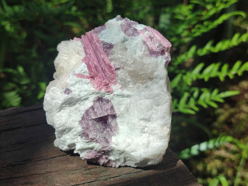 Natural Pink Rubellite Tourmaline Specimens x 6 From Karibib, Namibia - Toprock Gemstones and Minerals 