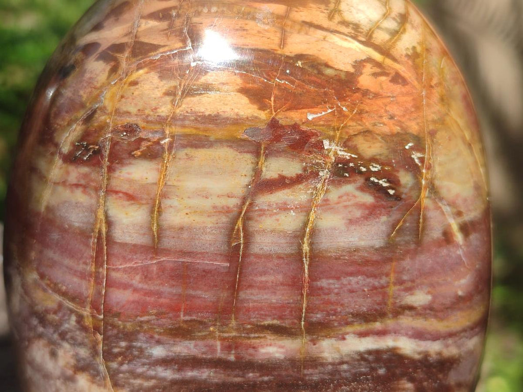 Polished Red Podocarpus Petrified Wood Standing Free Forms x 2 From Mahajanga, Madagascar - Toprock Gemstones and Minerals 