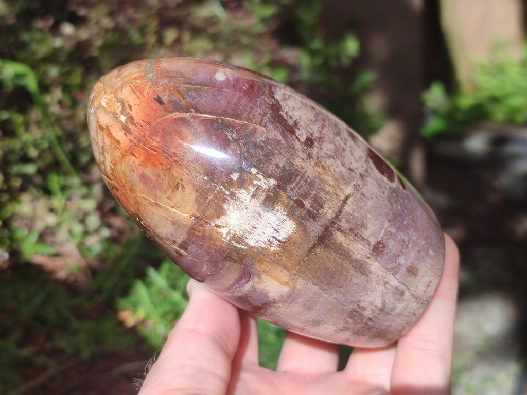 Polished Red Podocarpus Petrified Wood Standing Free Forms x 2 From Mahajanga, Madagascar - Toprock Gemstones and Minerals 