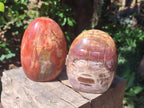 Polished Red Podocarpus Petrified Wood Standing Free Forms x 2 From Mahajanga, Madagascar - Toprock Gemstones and Minerals 