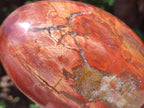 Polished Red Podocarpus Petrified Wood Standing Free Forms x 2 From Mahajanga, Madagascar - Toprock Gemstones and Minerals 