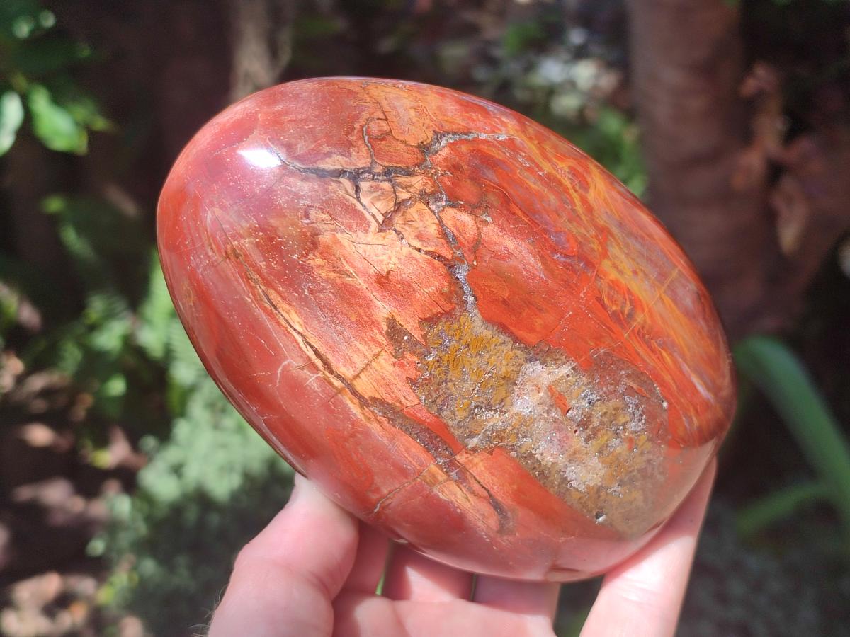 Polished Red Podocarpus Petrified Wood Standing Free Forms x 2 From Mahajanga, Madagascar - Toprock Gemstones and Minerals 