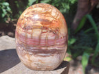 Polished Red Podocarpus Petrified Wood Standing Free Forms x 2 From Mahajanga, Madagascar - Toprock Gemstones and Minerals 