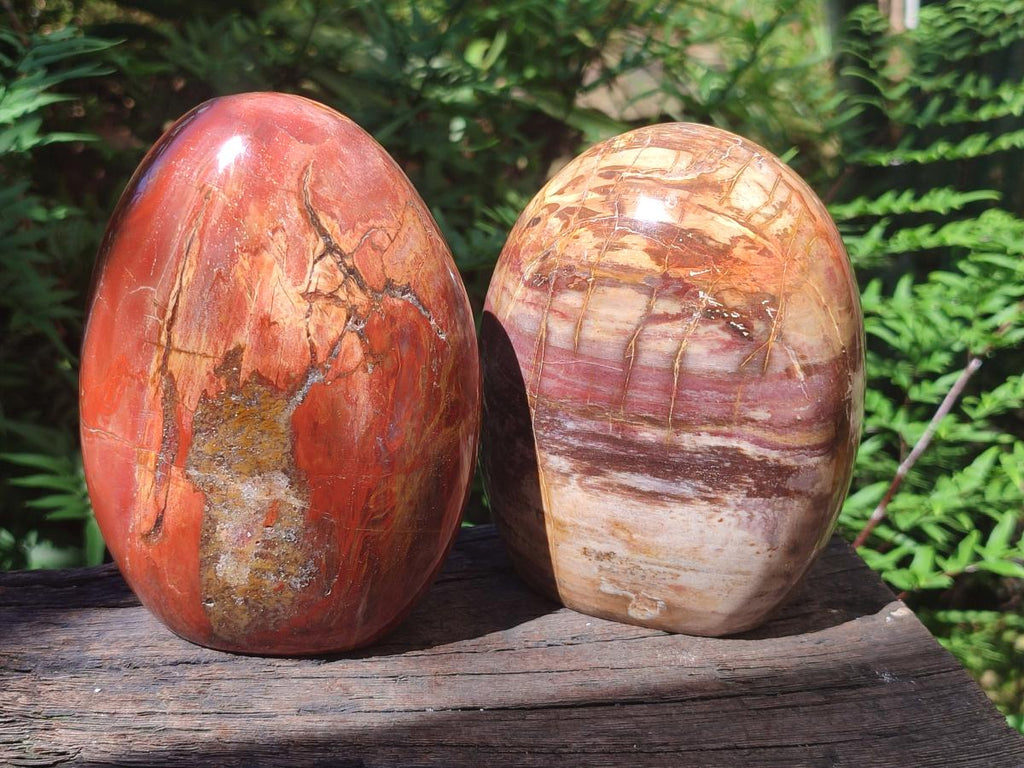 Polished Red Podocarpus Petrified Wood Standing Free Forms x 2 From Mahajanga, Madagascar - Toprock Gemstones and Minerals 