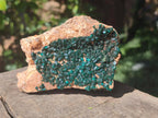 Natural Dioptase on Dolomite Specimens x 2 From Likasi, Congo - Toprock Gemstones and Minerals 