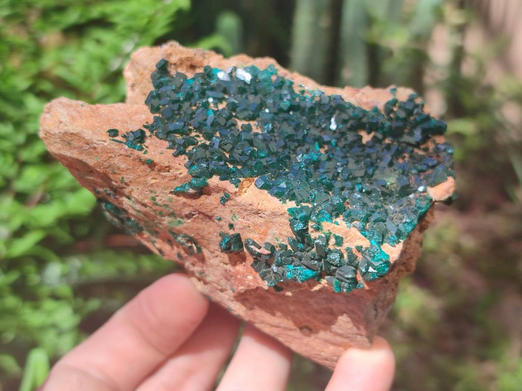 Natural Dioptase on Dolomite Specimens x 2 From Likasi, Congo - Toprock Gemstones and Minerals 