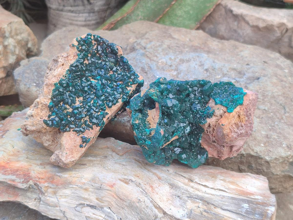 Natural Dioptase on Dolomite Specimens x 2 From Likasi, Congo - Toprock Gemstones and Minerals 