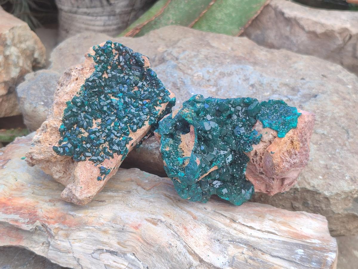 Natural Dioptase on Dolomite Specimens x 2 From Likasi, Congo - Toprock Gemstones and Minerals 