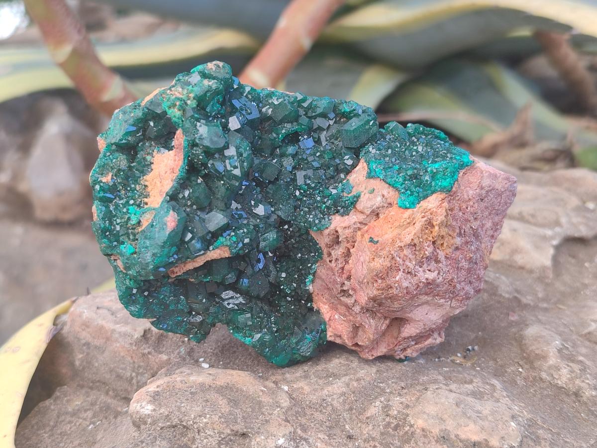 Natural Dioptase on Dolomite Specimens x 2 From Likasi, Congo - Toprock Gemstones and Minerals 